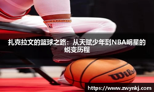 XK星空体育官方app下载