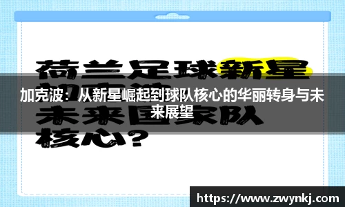 XK星空体育官网