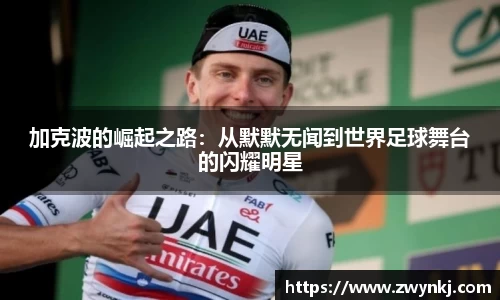 XK星空体育官方app下载