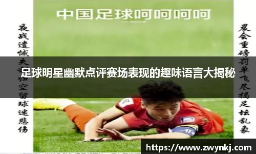 XK星空体育官方app下载