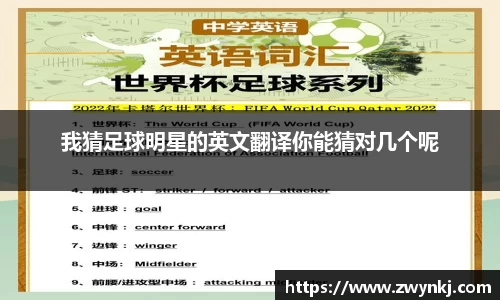 XK星空体育官方app下载